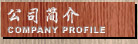 ˾  COMPANY PROFILE