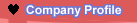 Company Profile