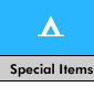 Special Items