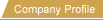 Company Profile