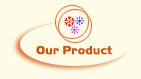 Our Product